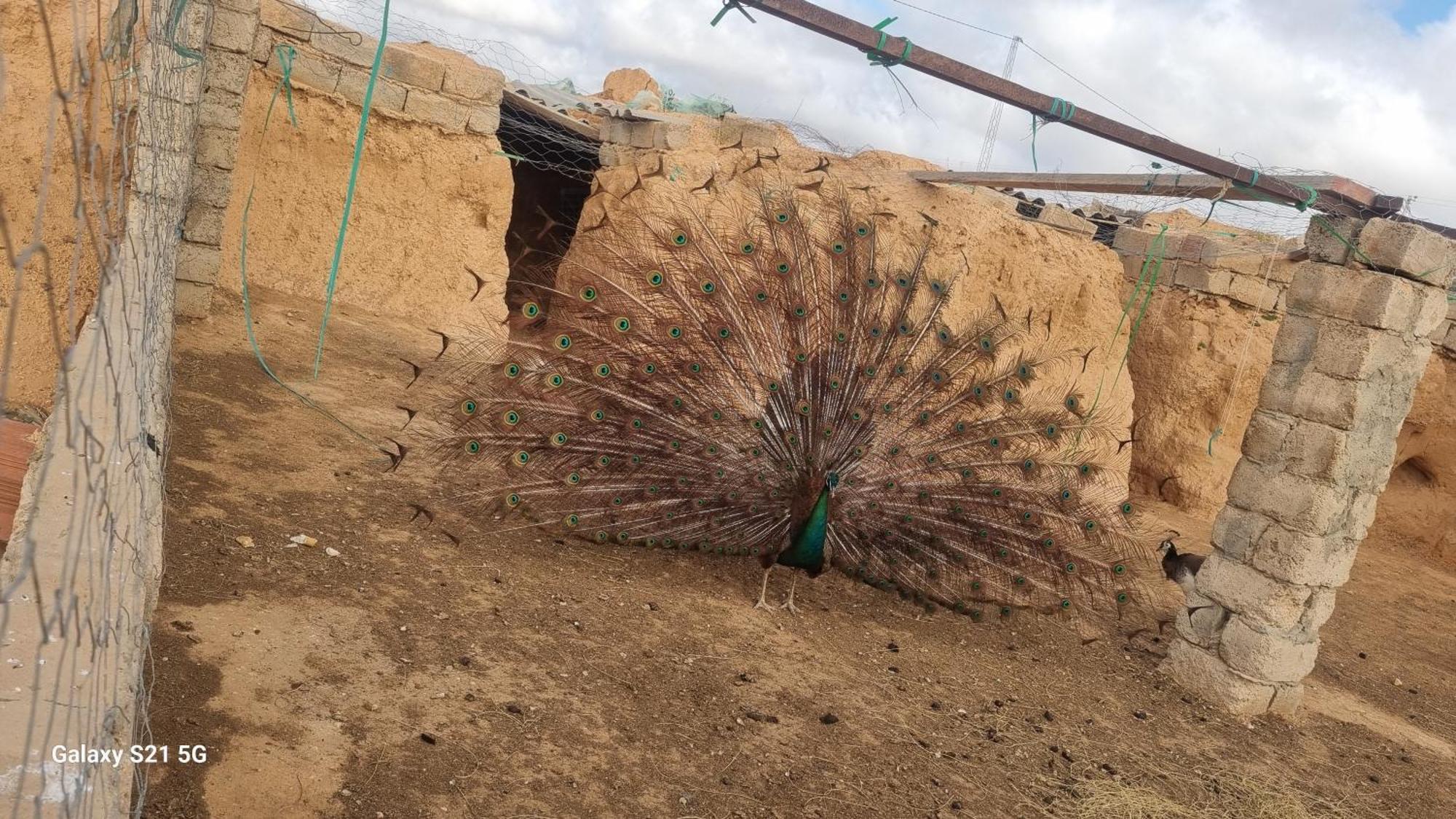 Maison D'Hote Dar Massouada Toujane ภายนอก รูปภาพ